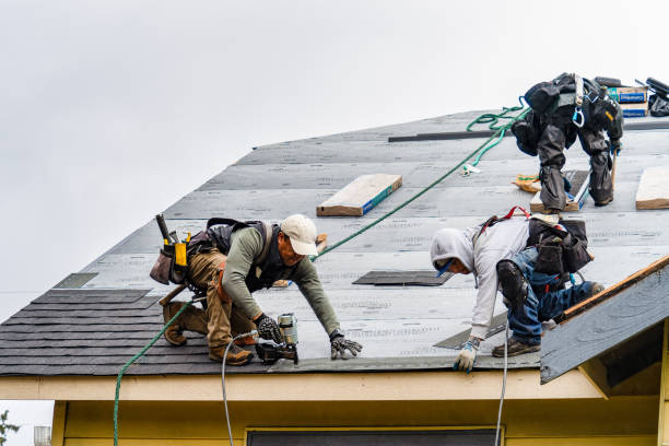 Professional Roofing technician working in Ypsilanti, ND